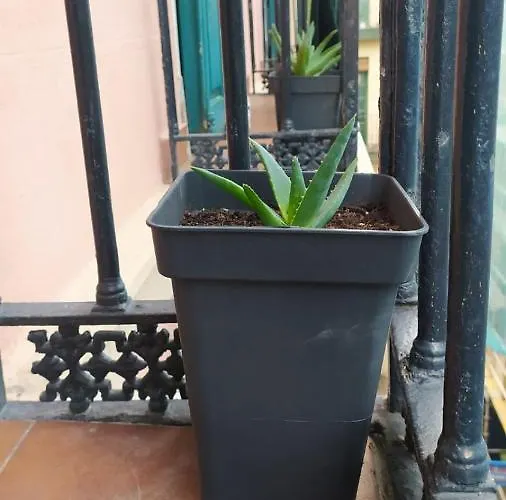 Manoli Pensión Bilbao