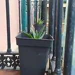Manoli Penzion