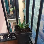 Penzion Manoli *