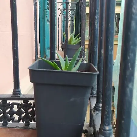 Manoli בית הארחה