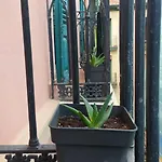 Manoli Pensión *